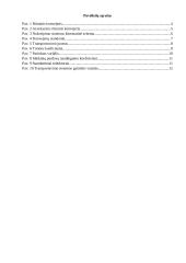 Konvejerio projektavimas 2 puslapis
