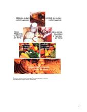 Mokyklinio amžiaus vaikų mityba 12 puslapis