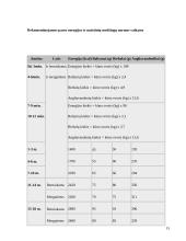Mokyklinio amžiaus vaikų mityba 13 puslapis