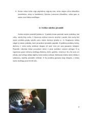 Mokyklinio amžiaus vaikų mityba 6 puslapis