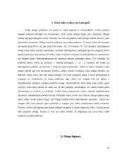 Mokyklinio amžiaus vaikų mityba 8 puslapis