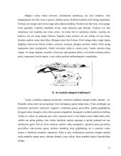 Mokyklinio amžiaus vaikų mityba 9 puslapis