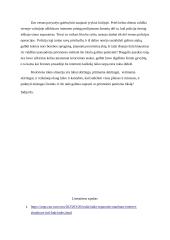 Kodėl tikslas negali pateisinti priemonių? 2 puslapis