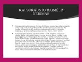 Psichologiniai išgyvenimai netekus darbo 10 puslapis