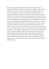 Akademinės grupės dinamikos analizė  2 puslapis