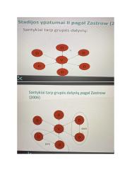 Socialinis darbas su grupe pagal Zastrow 11 puslapis