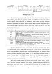 Moksleiviai prieš rūkymą 12 puslapis