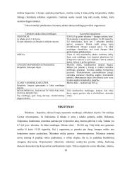 Moksleiviai prieš rūkymą 10 puslapis