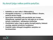 Elektroninės patyčios 5 puslapis