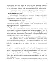 Moksleivių judėjimo aparato sutrikimai ir jų profilaktika 7 puslapis