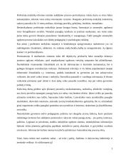 Moksleivių rekreacijos problemos 3 puslapis