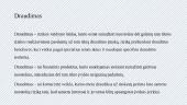 Draudimas 2 puslapis