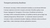 Draudimas 13 puslapis