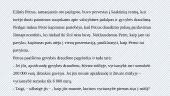 Draudimas 14 puslapis
