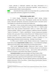 Moksliniai darbai apie elektroninę muziką 6 puslapis