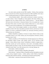 Moldovos makroaplinkos analizė 3 puslapis