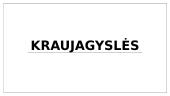 Kraujagyslės