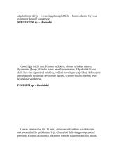 Moliuskai ir viskas apie juos 4 puslapis