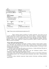 Monetarinė politika 13 puslapis