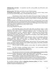 Monetarinė politika 15 puslapis