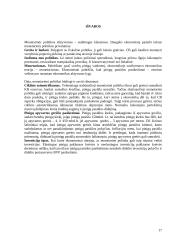 Monetarinė politika 17 puslapis