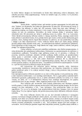 Monetarinė politika 3 puslapis