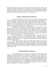 Monetarinė politika 10 puslapis