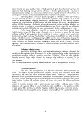 Monetarinės politikos tikslai 4 puslapis