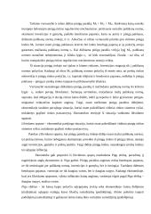 Monetarizmas 13 puslapis