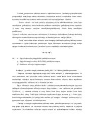 Monetarizmas 16 puslapis