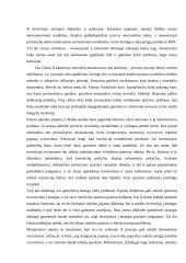 Monetarizmas 18 puslapis