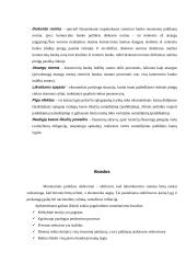 Monetarizmas 20 puslapis