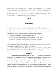 Monetarizmas 4 puslapis