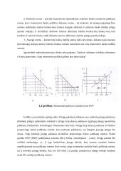 Monetarizmas 6 puslapis