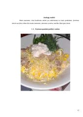 Salotos su kiaulienos mente. Technologijų mokyklinio brandos egzamino darbo aprašas 13 puslapis