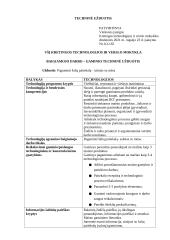 Salotos su kiaulienos mente. Technologijų mokyklinio brandos egzamino darbo aprašas 2 puslapis