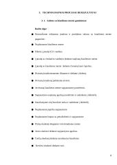 Salotos su kiaulienos mente. Technologijų mokyklinio brandos egzamino darbo aprašas 19 puslapis