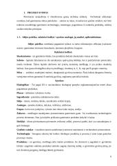 Salotos su kiaulienos mente. Technologijų mokyklinio brandos egzamino darbo aprašas 7 puslapis