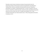 Monopolijų kontrolės mechanizmas 15 puslapis