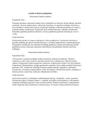 Prokariotinių ir eukariotinių organizmų palyginimas  5 puslapis