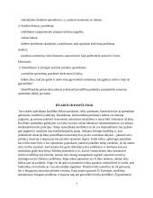 Konfliktų priežastys ir jų sprendimas 13 puslapis