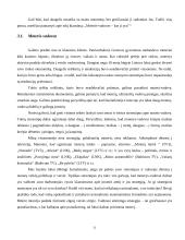 Moteris - vadovas 11 puslapis