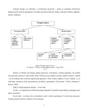 Moteris - vadovas 4 puslapis