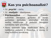 Psichoanalitinė perspektyva 2 puslapis