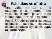 Psichoanalitinė perspektyva 3 puslapis