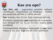 Psichoanalitinė perspektyva 4 puslapis