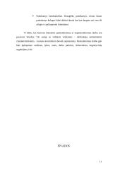 Moterų padėtis versle 11 puslapis