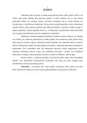Darbo našumo valdymas 2 puslapis