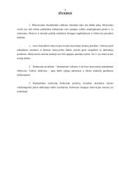 Darbo našumo valdymas 9 puslapis