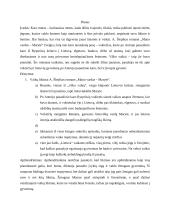 Vaikų likimai Alvydo Šlepiko kūrinyje „Mano vardas Marytė“. Kalba su planu 3 puslapis